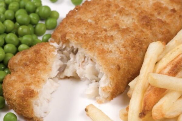 Battered Haddock 24no