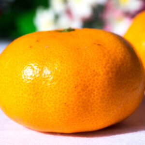 Satsuma Orange