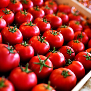 Tomatoes